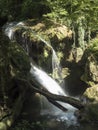 La Vaioaga waterfall at Cheile Nerei National Park, Romania Royalty Free Stock Photo